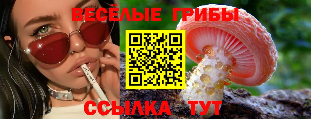 Гусиноозёрск  Псилоцибиновые грибы GOLDEN TEACHER  Вход с VPN 